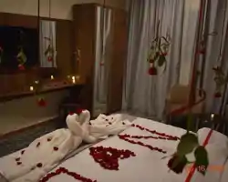 Delights Inn - Green Oasis Hotel thumbnail